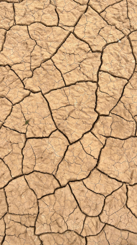 Sol craquelé par la chaleur et la sécheresse